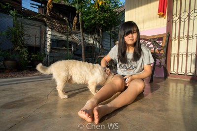 Playing with the pet