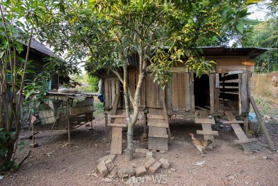 Chicken barn