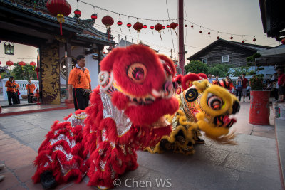 20Lion dance performance