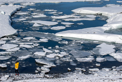 Jokullsarlon Glacier