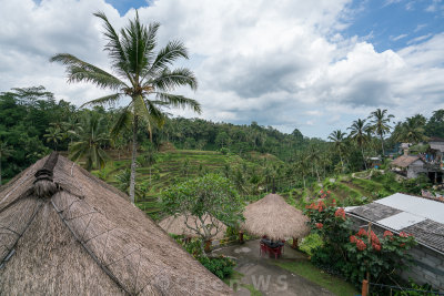 20160314-12330844.jpg