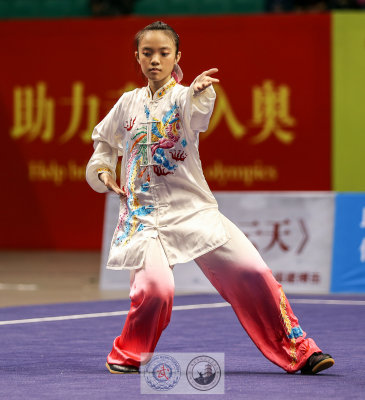 1st Wushu Taolu World Cup 2016 Fuzhou China