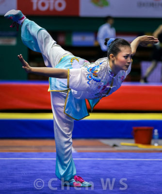 World Wushu Championships, Malaysia