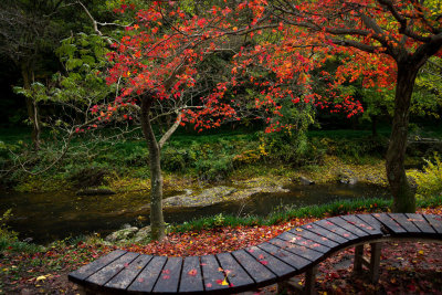 Autumn, South Korea