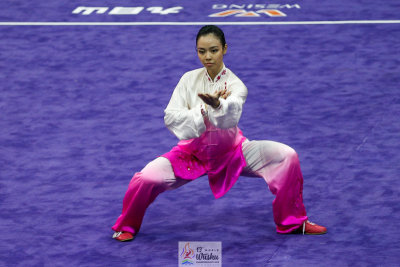 World Wushu Championship, Indonesia