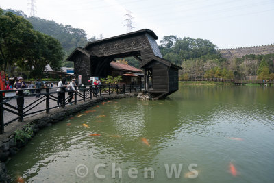 Lake at Checheng town, Nantou county 