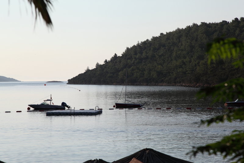 Bay