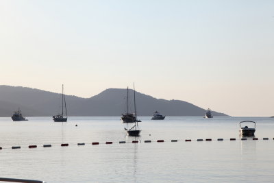 Bay
