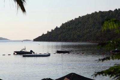 Bay