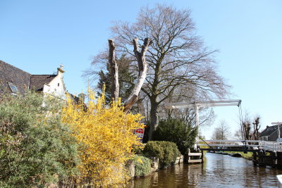 Monnickendam