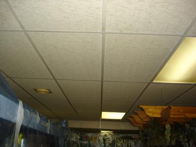 DSC00174.jpg