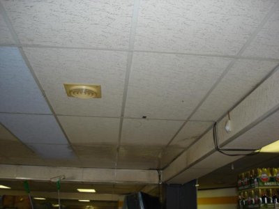 DSC00222.jpg