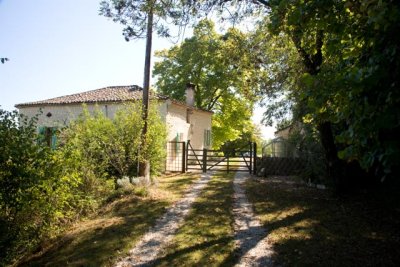 IMG_4320.jpg