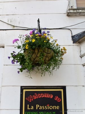 IMG_3807.JPG