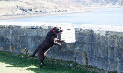 IMG_6034.JPG