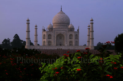 Taj Mahal Viewed From The Mehta Bagh (Sep13)