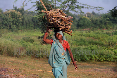 Common Face Of India... (Sep13)