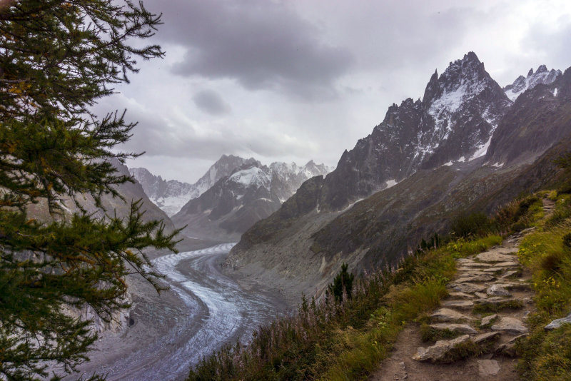 Mer de Glace from path to Signal Forbes