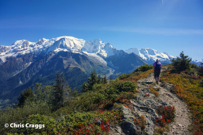 Mont Blanc from Prarion