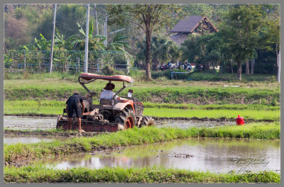 ChiangMai-51