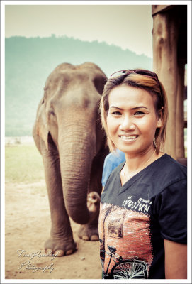 Elephant Nature Park ~  Chiang Mai. Thailand