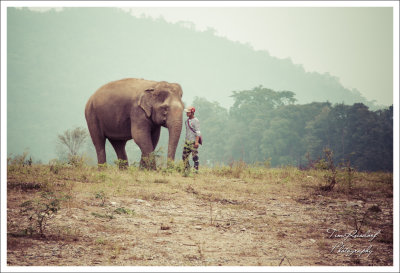Mahout and the Beast