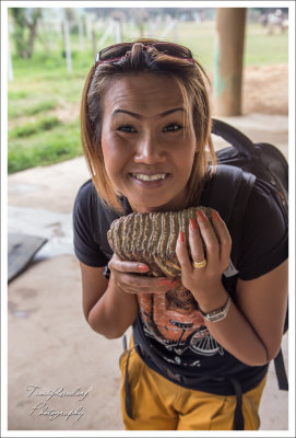 Elephant Tooth