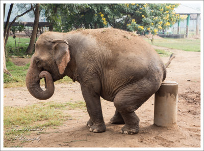 Scratching an Itch