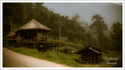 Rural Thailand near Chiang Mai