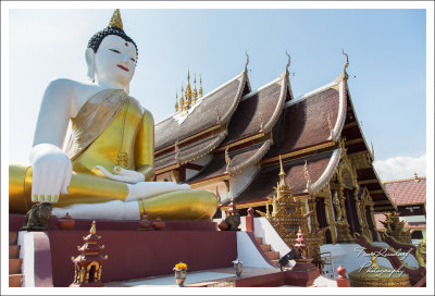 Buddha and the temple