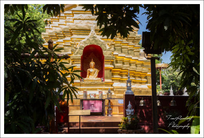 Golden Temple Chiang Mai