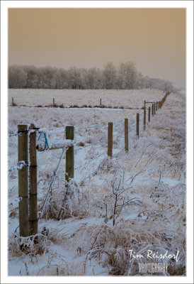 Canadian Prairie Hoarfrost 2