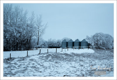 Canadian Prairie Hoarfrost 6