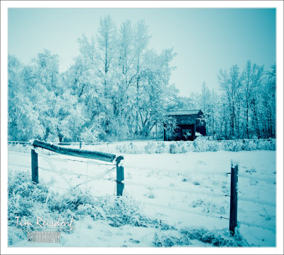 Frost and Hut