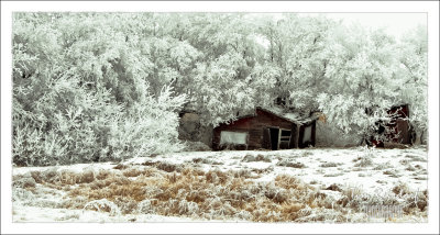 Canadian Prairie Hoarfrost 9
