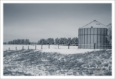 Canadian Prairie Hoarfrost 11