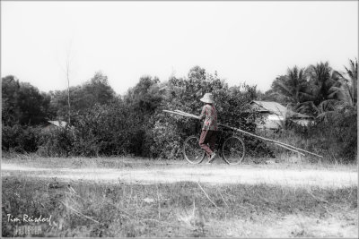 Siem Reap 15