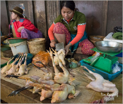 Siem Reap 44