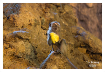 Batu Cave in Malaysia 31