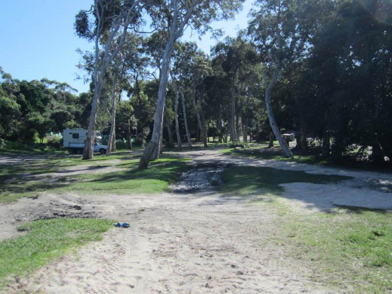 Treachery Camp Seal Rocks