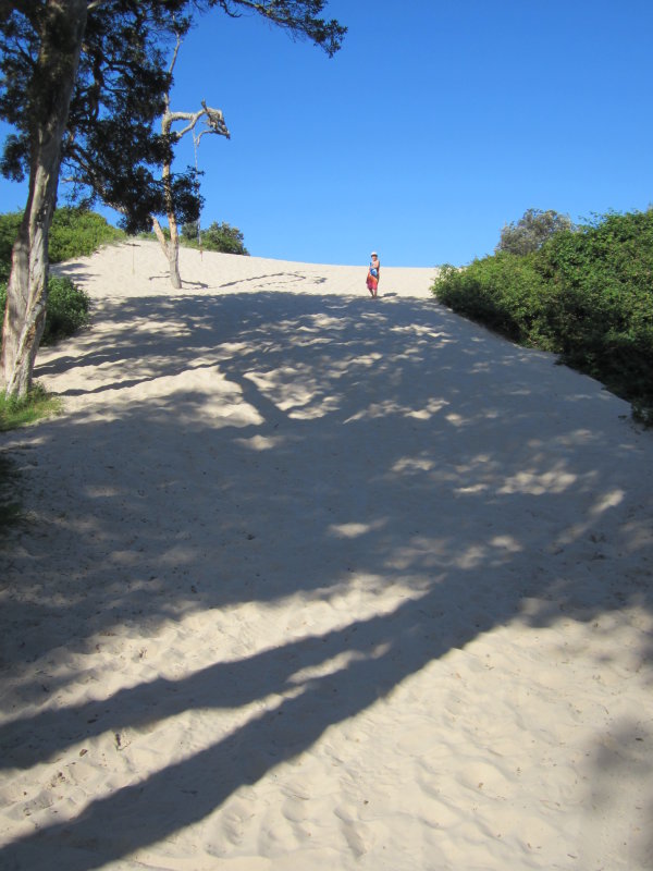 Treachery Camp Seal Rocks