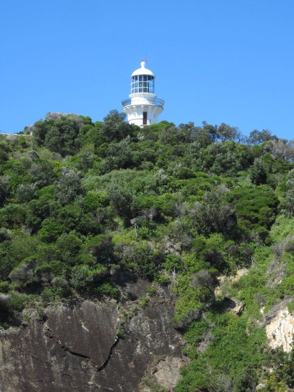 Sugarloaf Point Seal Rocks