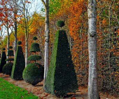 gave a Christmas feel to the grounds