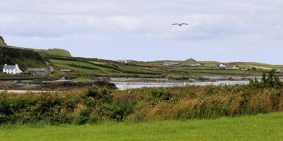 Skellig Landscape