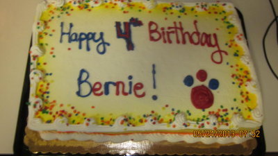 Happy 4th birthday Bernie