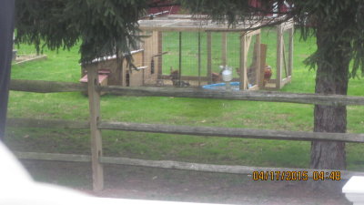 IMG_3232.JPG