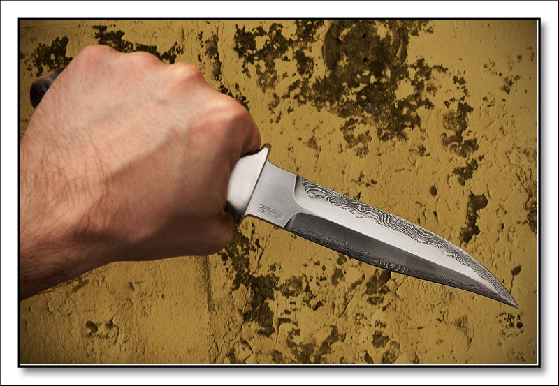 CAS.fighter.inhand.jpg