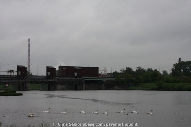 CS_0067.JPG