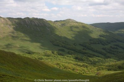 CS_0543.JPG