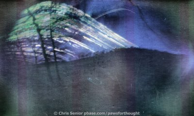 solargraph 2012-12-21 183 days 600dpi #2 v2.jpg